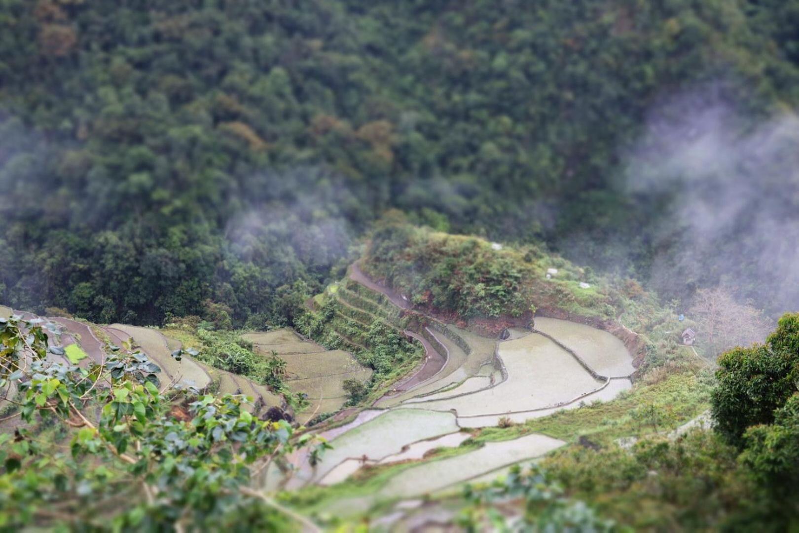 Batad Pension And Restaurant Banaue Esterno foto